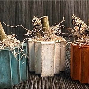 Set of 3 wooden pumpkins, 2 different sizes